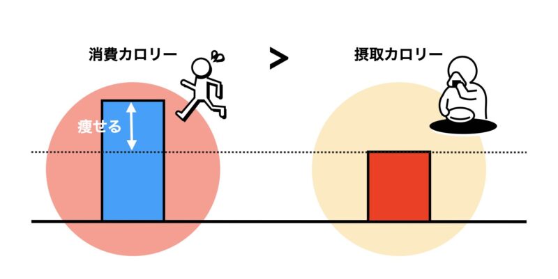 消費カロリー＞摂取カロリー