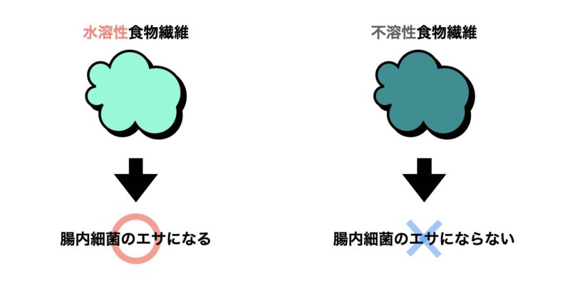 水溶性食物繊維 不溶性食物繊維 違い